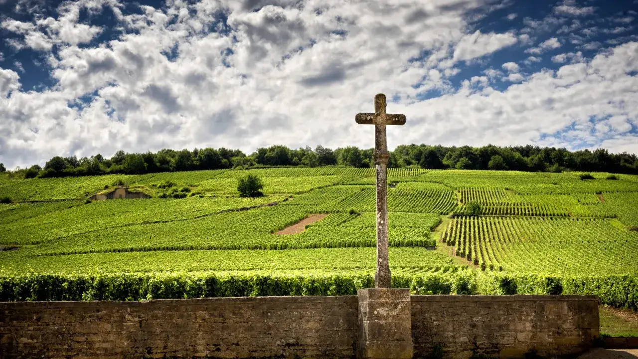 Vigneti lussureggianti sotto un cielo nuvoloso, con una croce di pietra in primo piano. Il paesaggio evoca la terra del grand cru champagne.