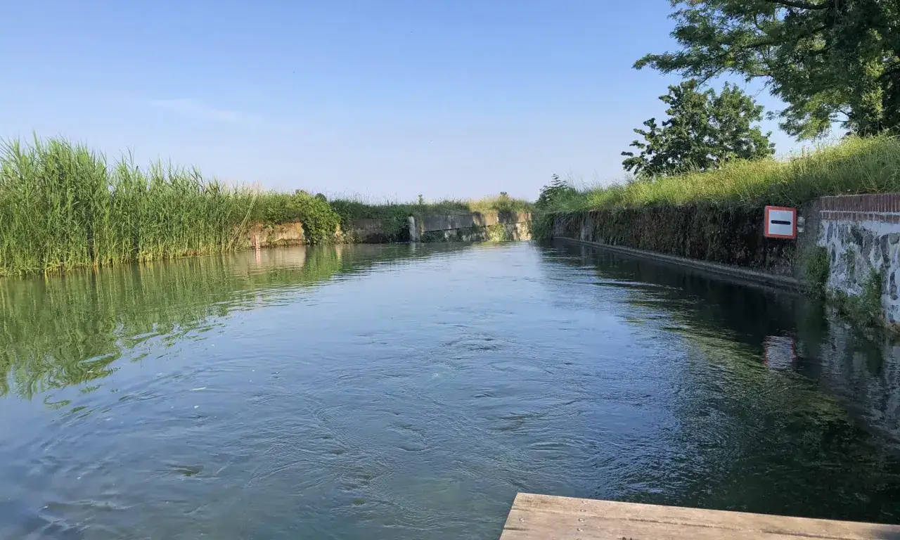 Canale con vegetazione rigogliosa e cielo azzurro, un'oasi tranquilla da scoprire tra le cose da vedere vicino a Vigevano.