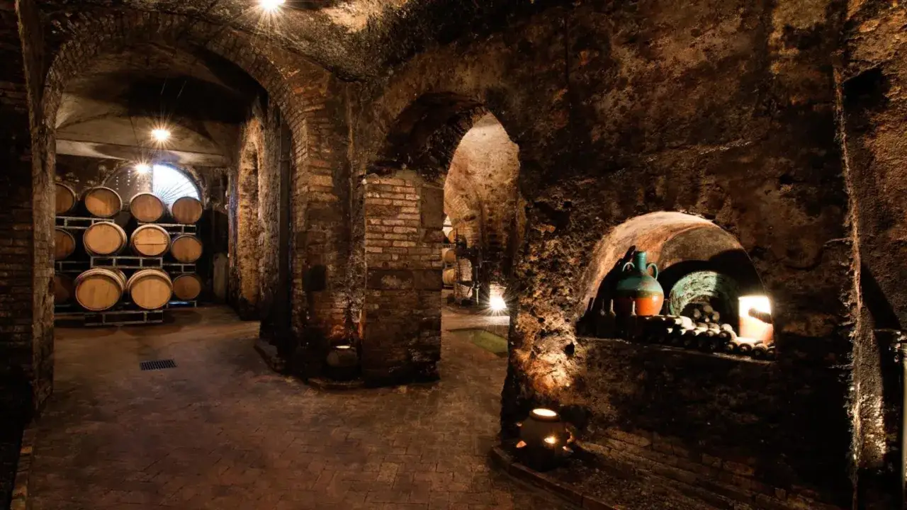Cantina antica con botti di legno e bottiglie, un luogo suggestivo dove maturano i pregiati vini lucani.