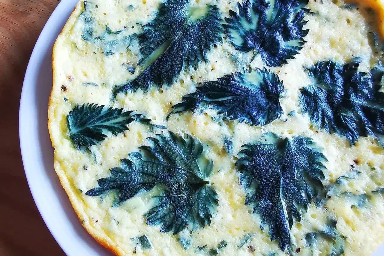 Frittata con foglie di ortica, un'idea gustosa per le tue ortica ricette.