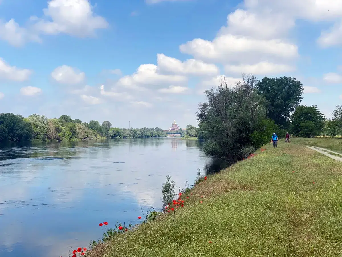 Percorso di trekking a Pavia lungo il fiume, con due escursionisti su un sentiero erboso e papaveri rossi. In lontananza, la Certosa di Pavia.