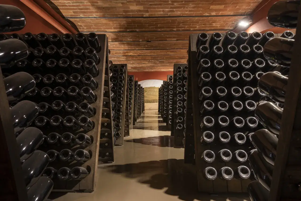 Cantine con bottiglie di vino scuro disposte in rastrelliere, pronte per il remuage.