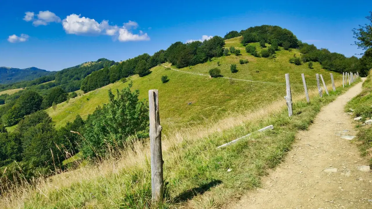 Sentiero sterrato lungo la via del sale a Varzi, tra colline verdi e alberi sotto un cielo azzurro con nuvole bianche.
