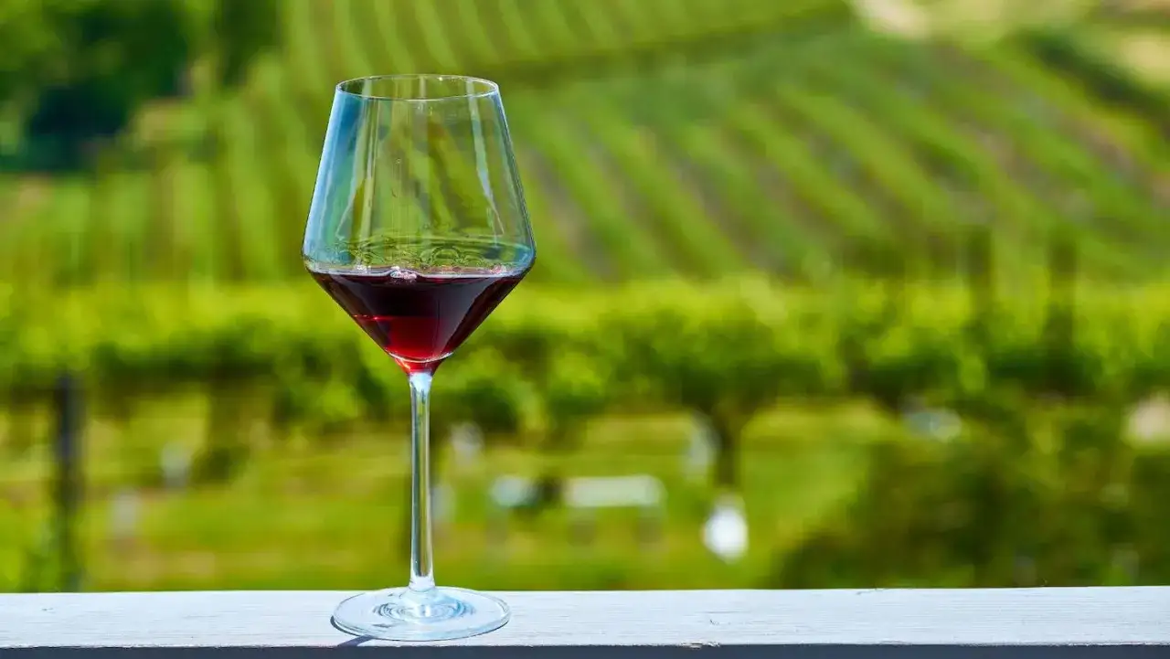 Un calice di vino rosso su un tavolo, con un vigneto rigoglioso sullo sfondo. Un assaggio di vino sostenibile, che celebra la natura.
