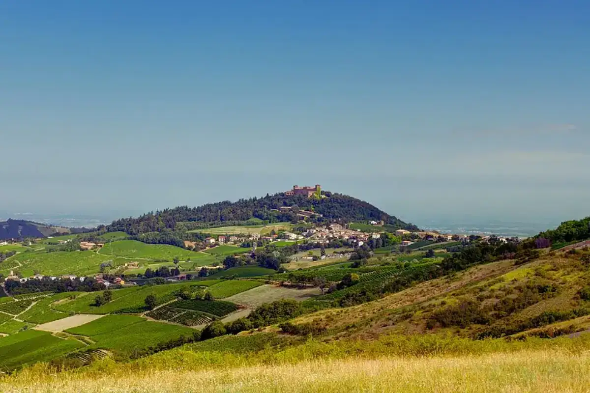 Panoramica di Montalto Pavese cosa vedere: un borgo collinare con castello, circondato da vigneti rigogliosi sotto un cielo azzurro.