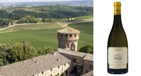 Paesaggio toscano con vigneti e torre medievale, accanto a una bottiglia di Cervaro della Sala, il migliore vino bianco.