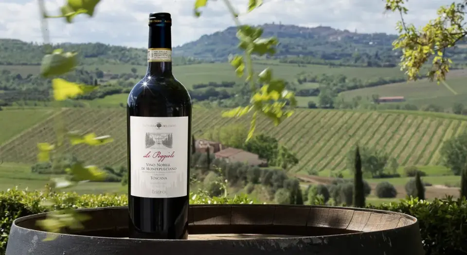 Montepulciano - Guida completa per scegliere e capire questo vino